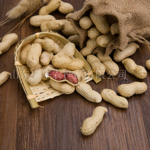 PEANUT IN SHELL 