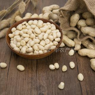 BLANCHED PEANUT KERNELS ROUND TYPE