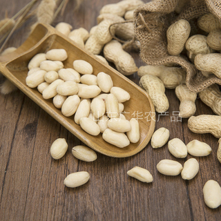 BLANCHED PEANUT KERNELS LONG TYPE 