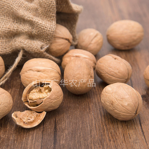 WALNUT IN SHELL 