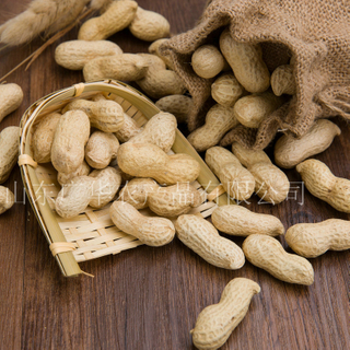 ROASTED PEANUT IN SHELL 