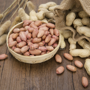 PEANUT KERNELS LONG TYPE