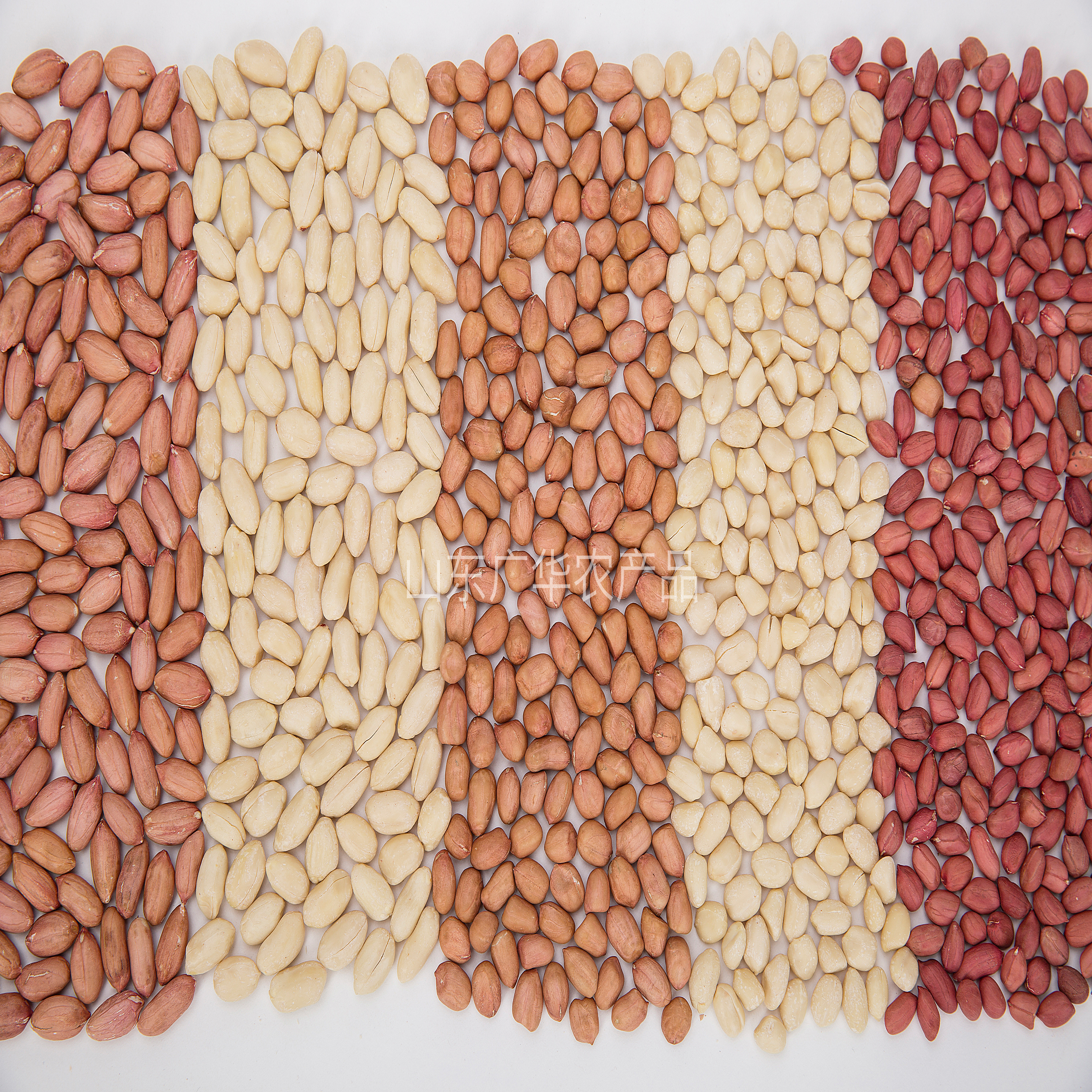 Peanut: 2019 is memorable and starting for 2020