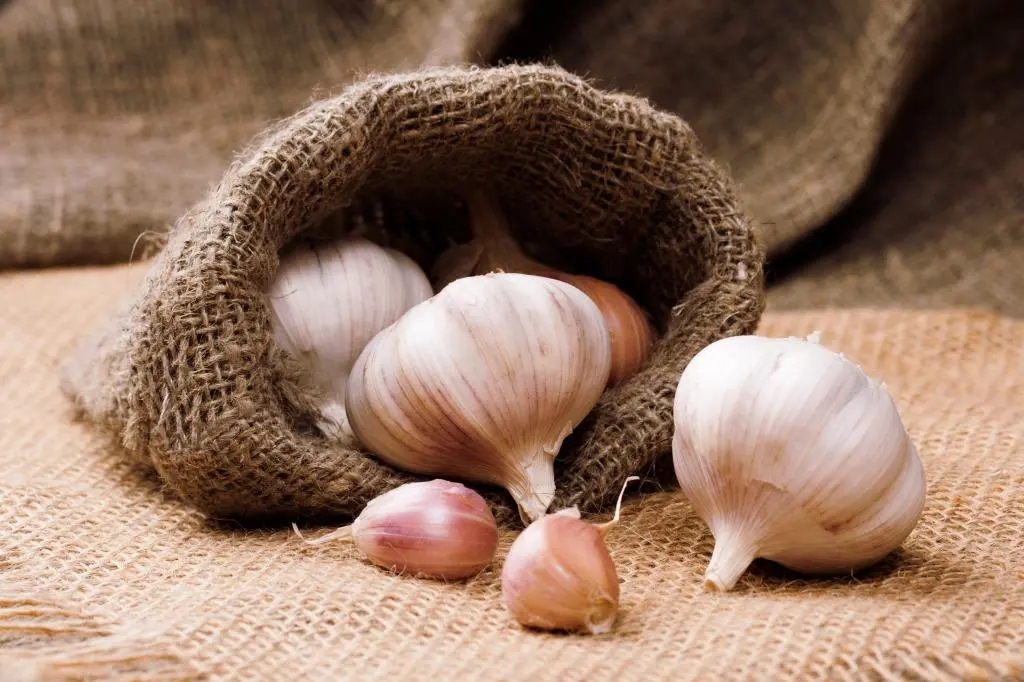 5 Super Benefits of garlic