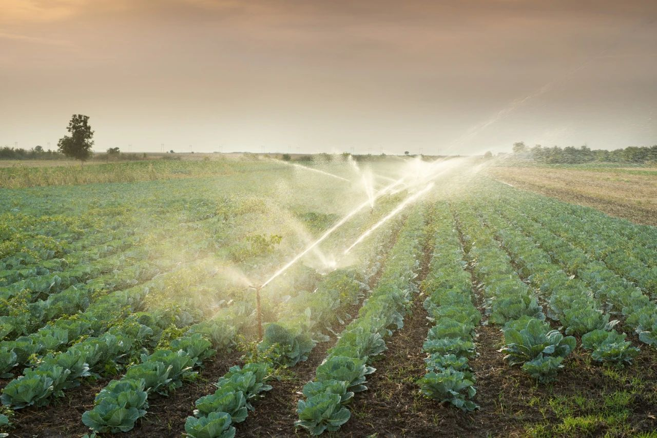 How is the trade of agricultural products between Saudi Arabia and China?