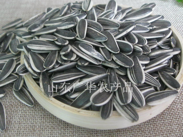 葵花籽