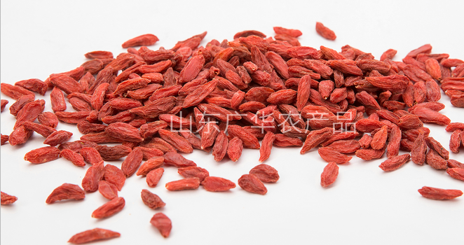 枸杞